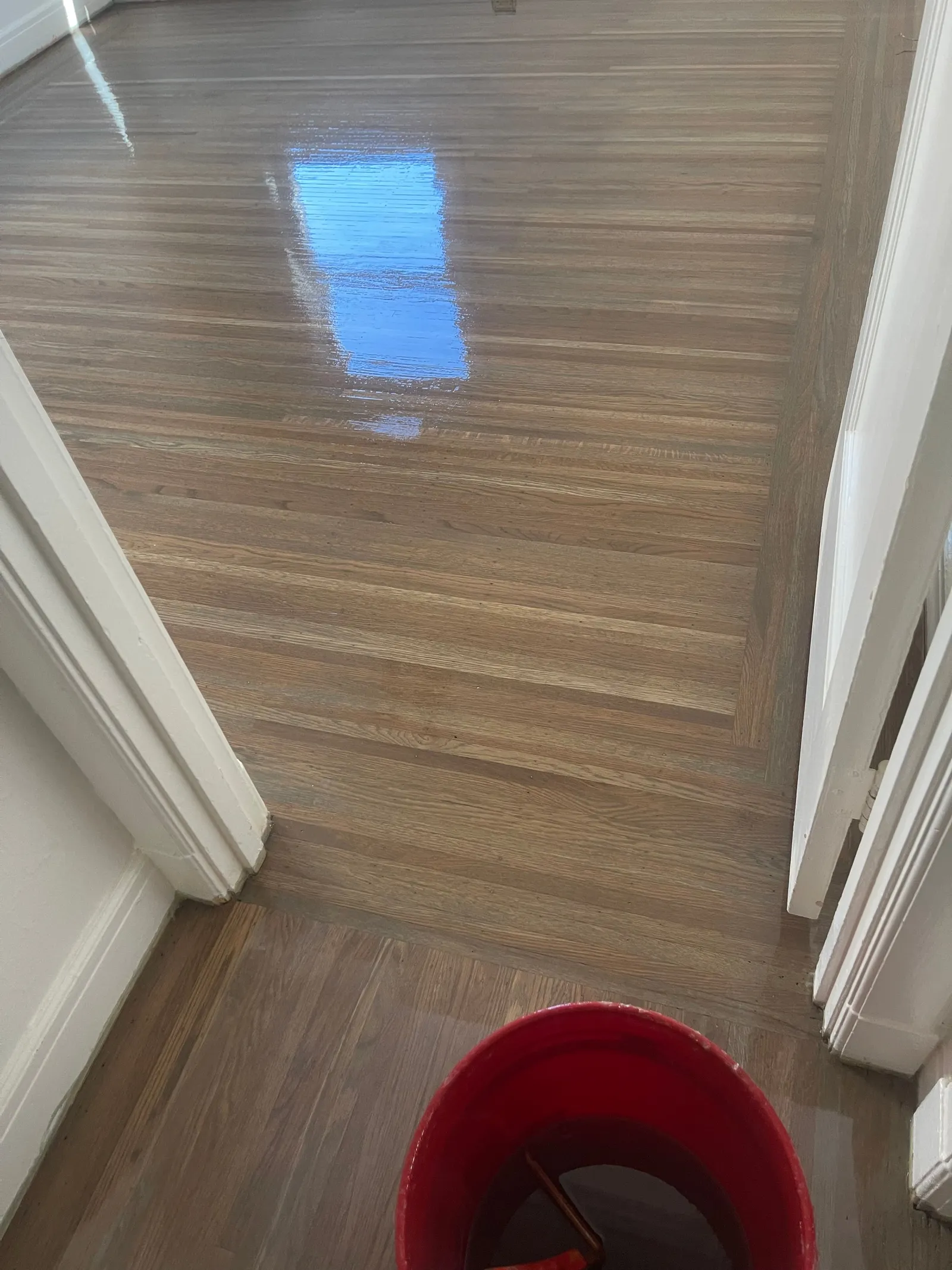 Freshly refinished light oak hardwood floor with glossy finish